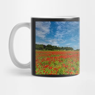 County Durham Poppies Mug